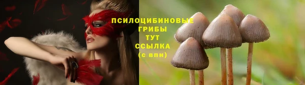 бутират Балабаново